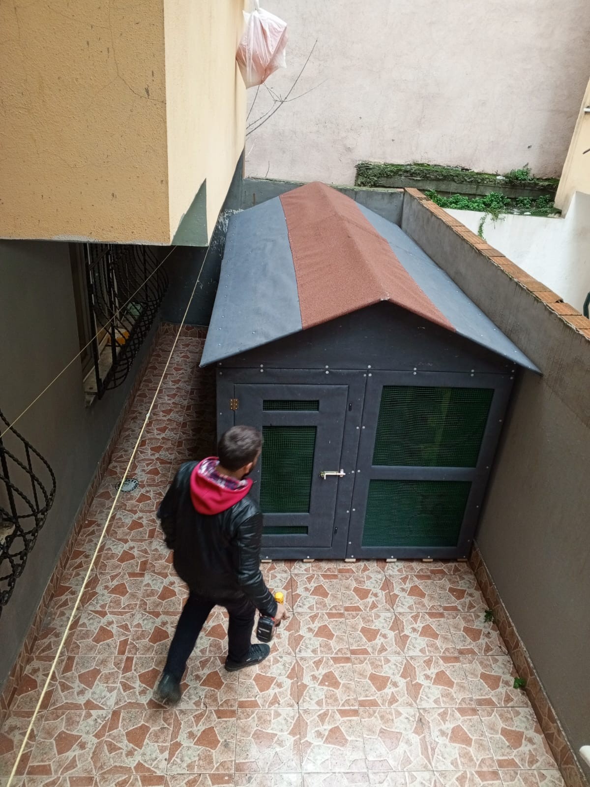 Güvercin kümesi-96