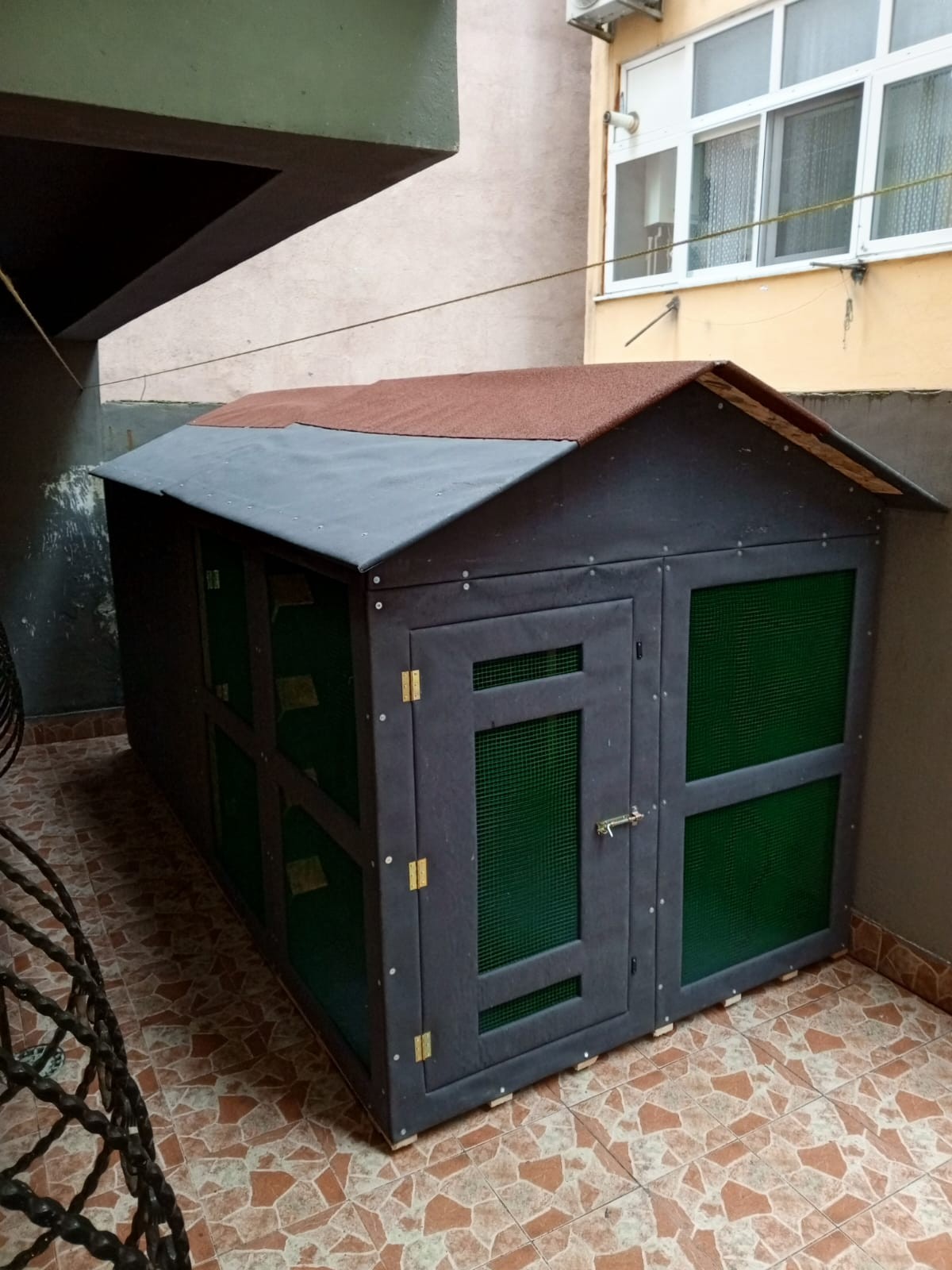 Güvercin kümesi-99